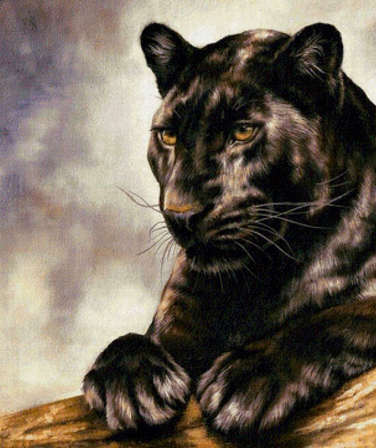 Картина по номерам 40x50 Большая черная пантера