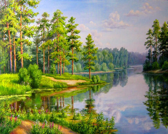 Картина по номерам 40x50 Обворожительный лес у реки