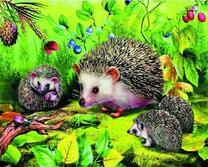 Семейство ежей на зелёной полянке