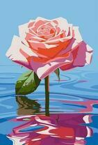 Розовая роза на воде