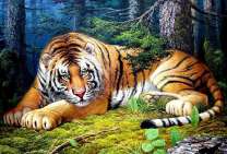 Тигр лежит на травке