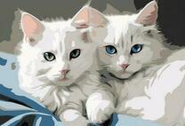 Два белых пушистых котика