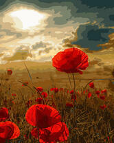 Маки на закате