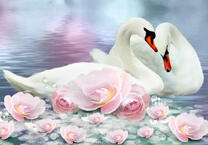 Белые лебеди и нежно-розовые розы