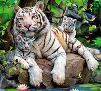 Белая тигрица и ее крошки