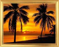Пальмы и море на фоне заката