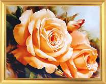 Свежие бутоны цветущей розы