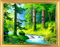 Река в густой тени хвойного леса