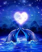 Романтичные дельфины в море под луной