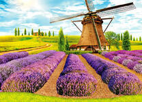 Мельница на лавандовом поле