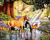 Табун лошадей на освещенном ручье в лесу