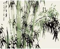 Красивые заросли бамбука