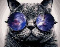 Кот в очках из космической туманности
