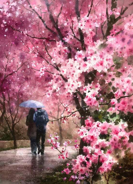Картина по номерам 40x50 Прогулка под дождём в цветущих сакурах