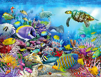 Красочный подводный мир кораллового рифа