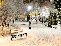 Заснеженный парк