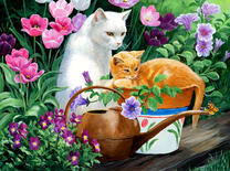 Кошка и котенок среди садовых цветов