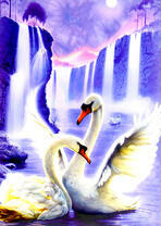 Два лебедя на озере у водопада