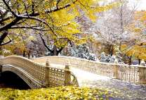 Милый мост в осеннем парке