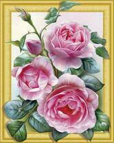 Большие розовые розы