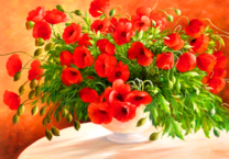 Широкий букет полевых маков