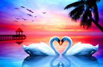 Два белоснежных лебедя на море