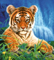 Тигренок на фоне водопада