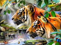 Большие тигры на фоне водопада