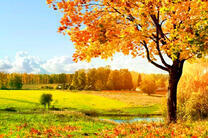 Осенний пейзаж у небольшой реки