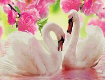 Лебеди на озере под ветками пышных цветов