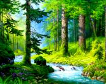 Река в густом лесу