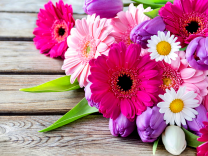 Герберы, ромашки и тюльпаны в одном букете