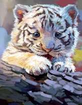 Белый маленький тигренок