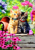 Серый и рыжий котенок в саду