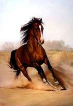Лошадь среди пыли