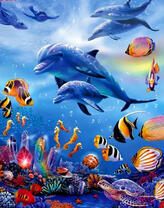 Стая дельфинов и рыбок