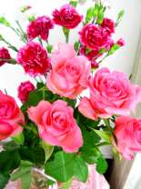 Розовые розы и гвоздики