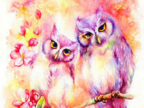 Две милые совы