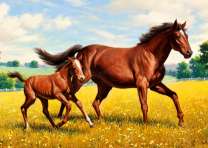 Лошадь с жеребёнком на осеннем поле