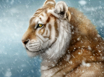 Портрет тигра в профиль