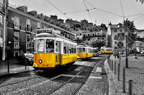 Желтые трамвайчики в городе