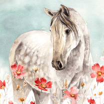 Белая лошадь и полевые цветочки