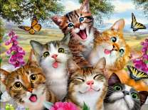 Шесть весёлых котят и бабочки