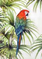 Яркий ара в зелёных джунглях