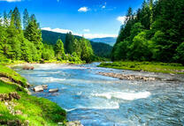 Весенний разлив горной реки