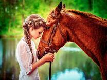 Девушка общается со своей лошадью