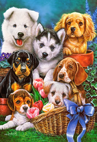 Щеночки разной породы среди цветов