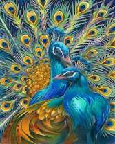 Пара красивых и ярких павлинов