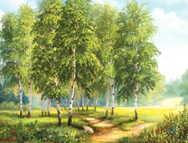 Березовая роща в солнечном свете