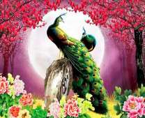 Пара павлинов под сакурой на фоне полной луны